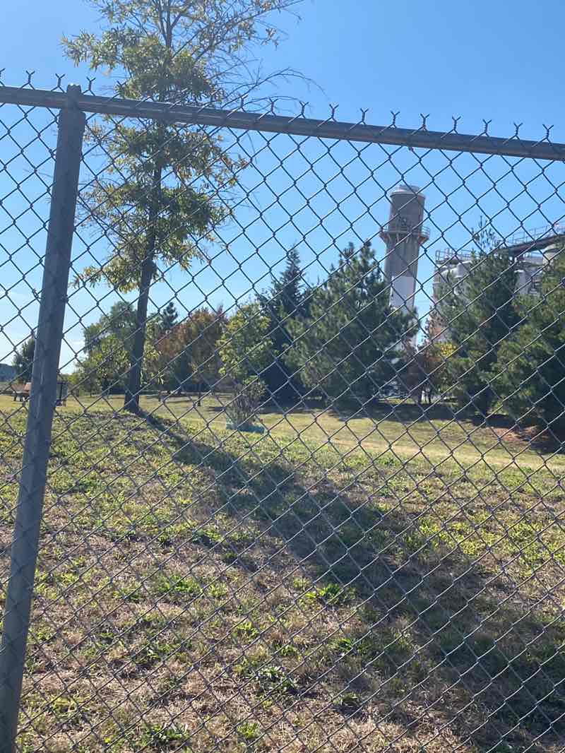 walking near me in Phoenix Park in autumn