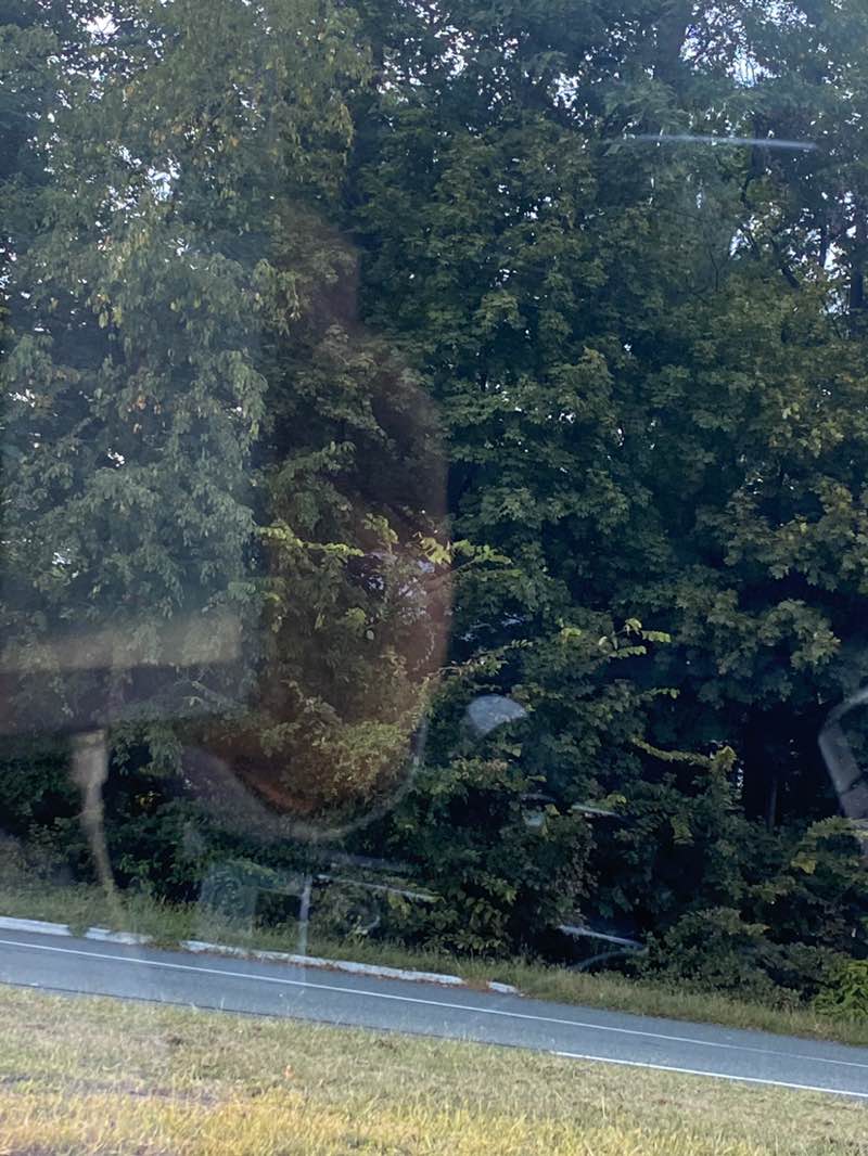 walking near me in Strawbridge Lake Park in autumn