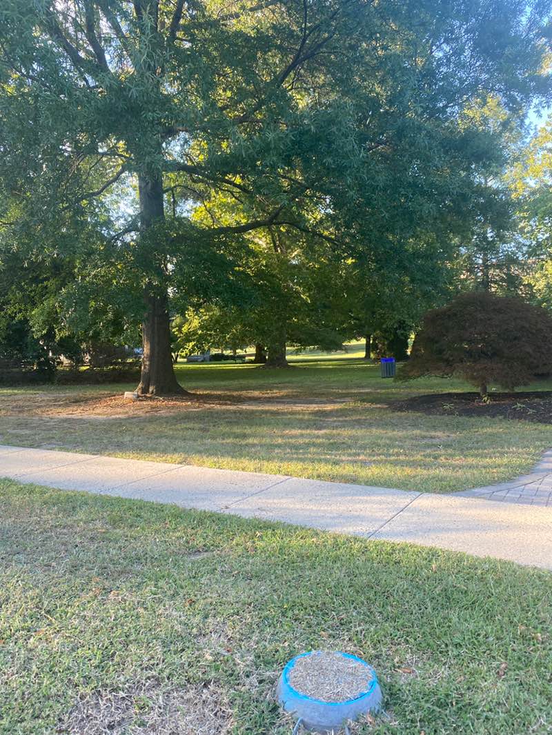 walking near me in Hendricksen Park in autumn