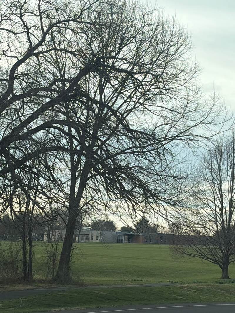 walking near me in Roberts Ridge Park in spring