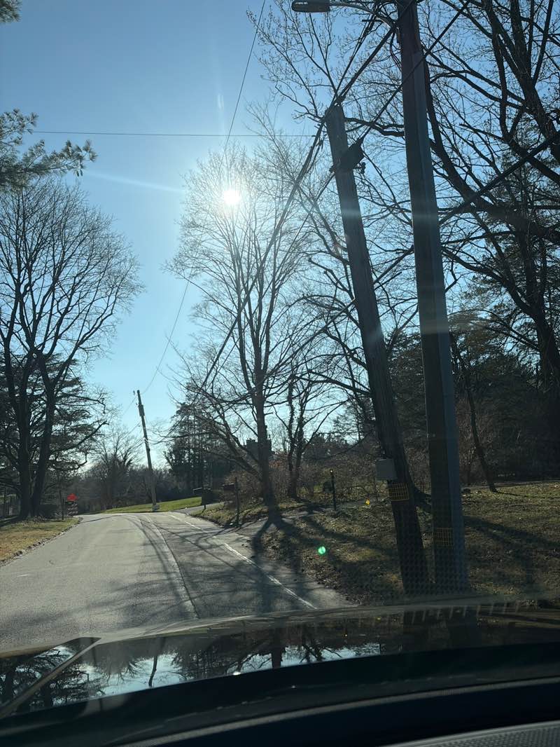 walking near me in Robinson Park in spring