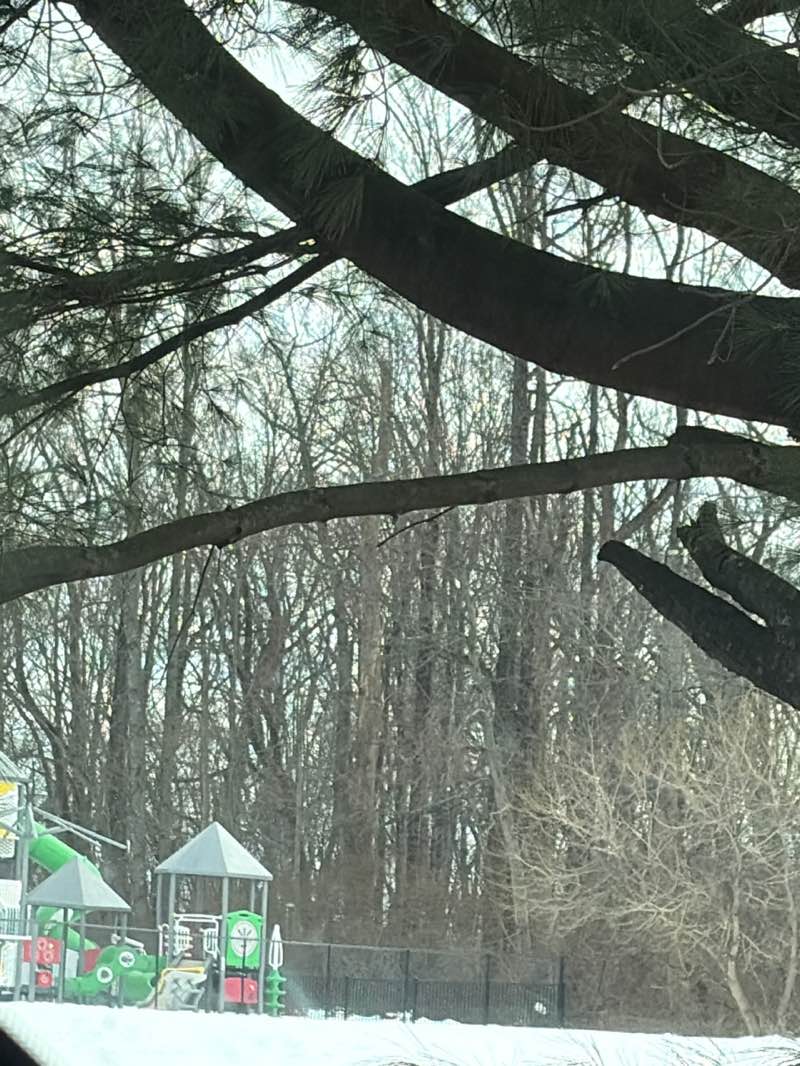 walking near me in Hilltop Park in spring