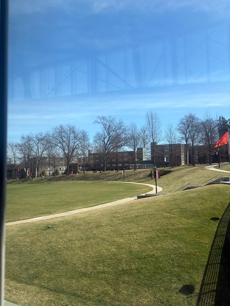 walking near me in Haber Green in spring
