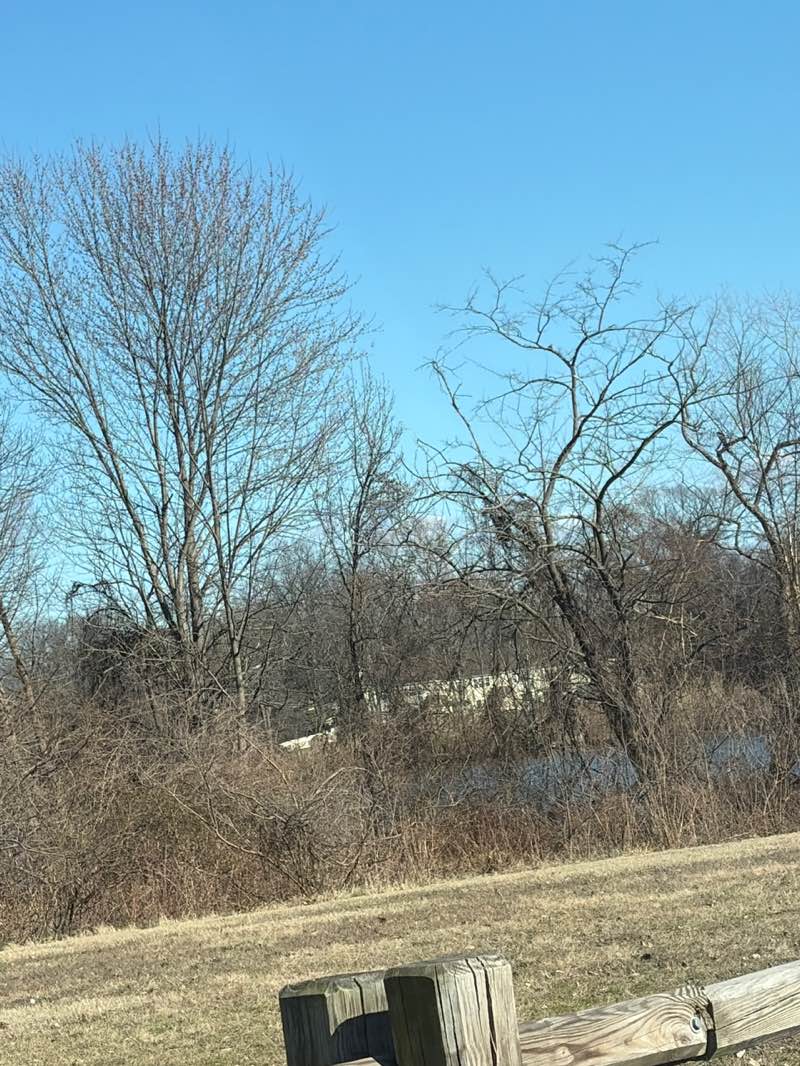 walking near me in Newton Lake Park in spring