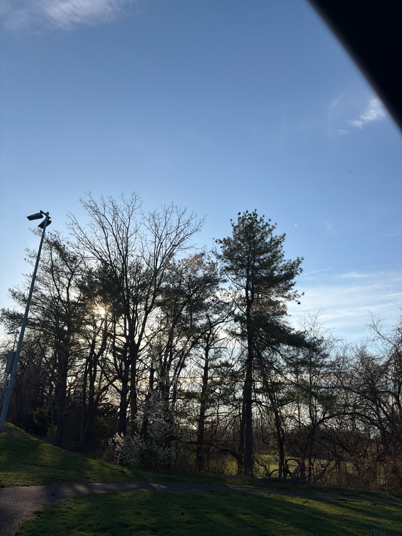 walking near me in Middletown Town Community Park in spring