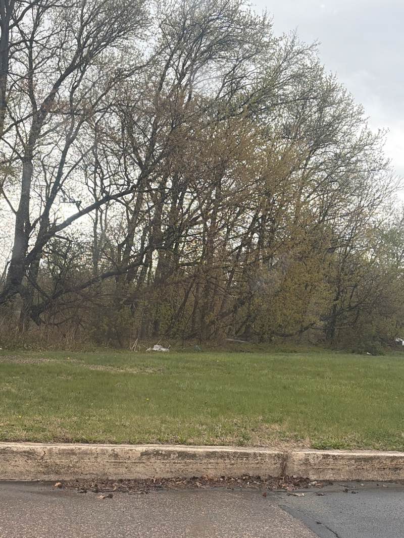 walking near me in Strawbridge Lake Park in spring