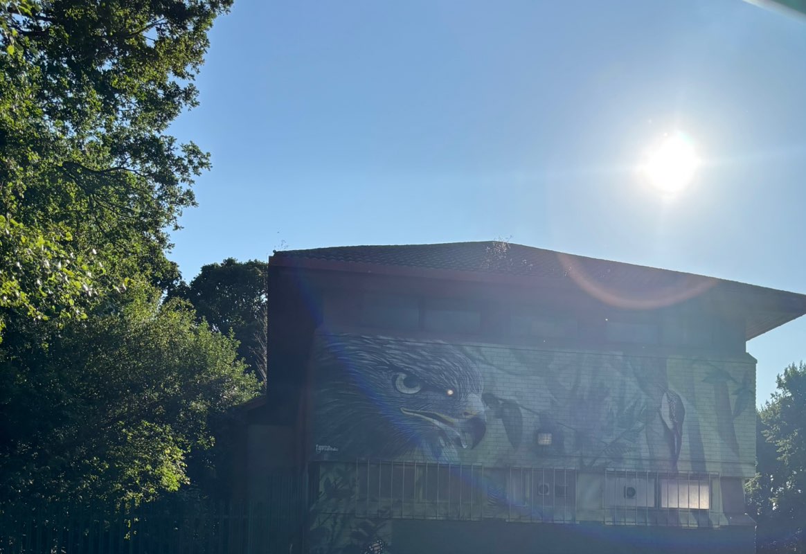 walking near me in Rectory Park in summer