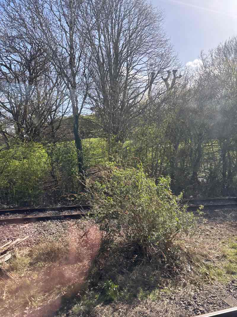 walking near me in Victoria Park in spring