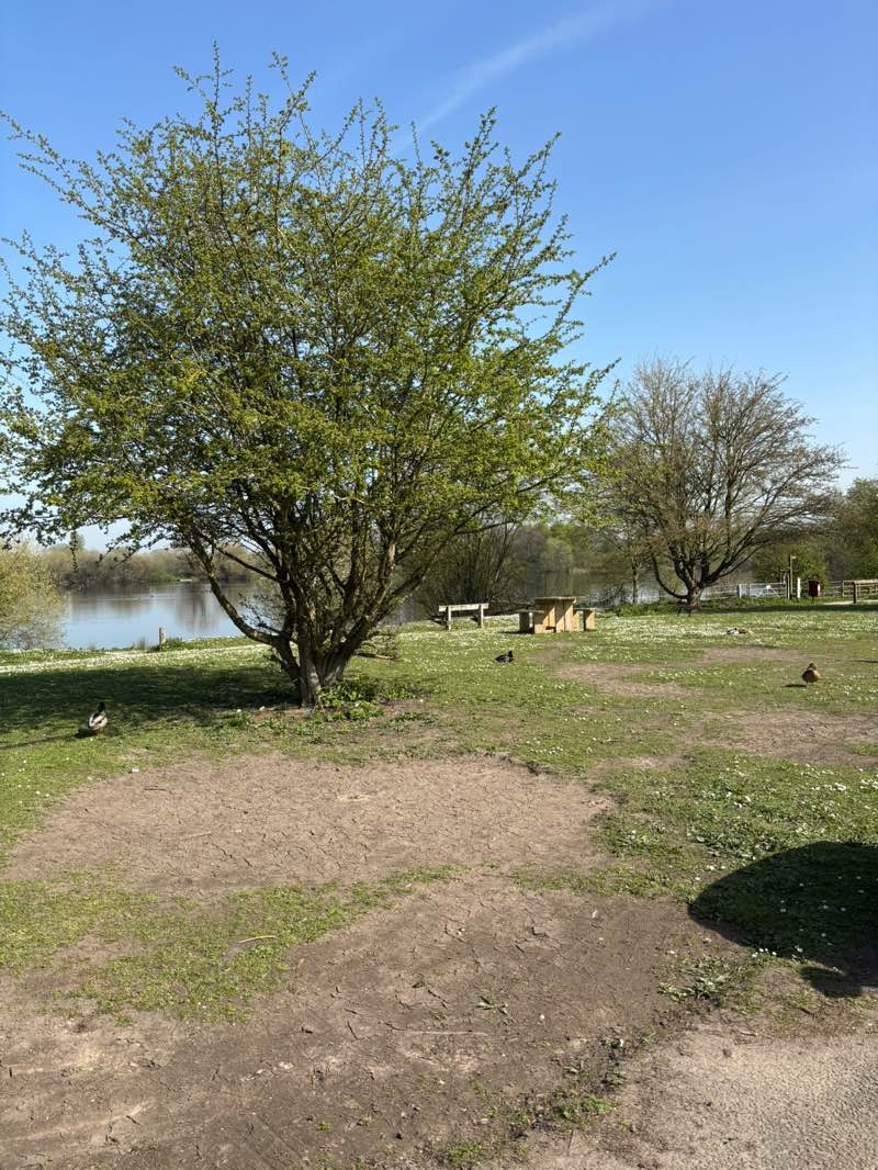 walking near me in Kingsbury Water Park in spring
