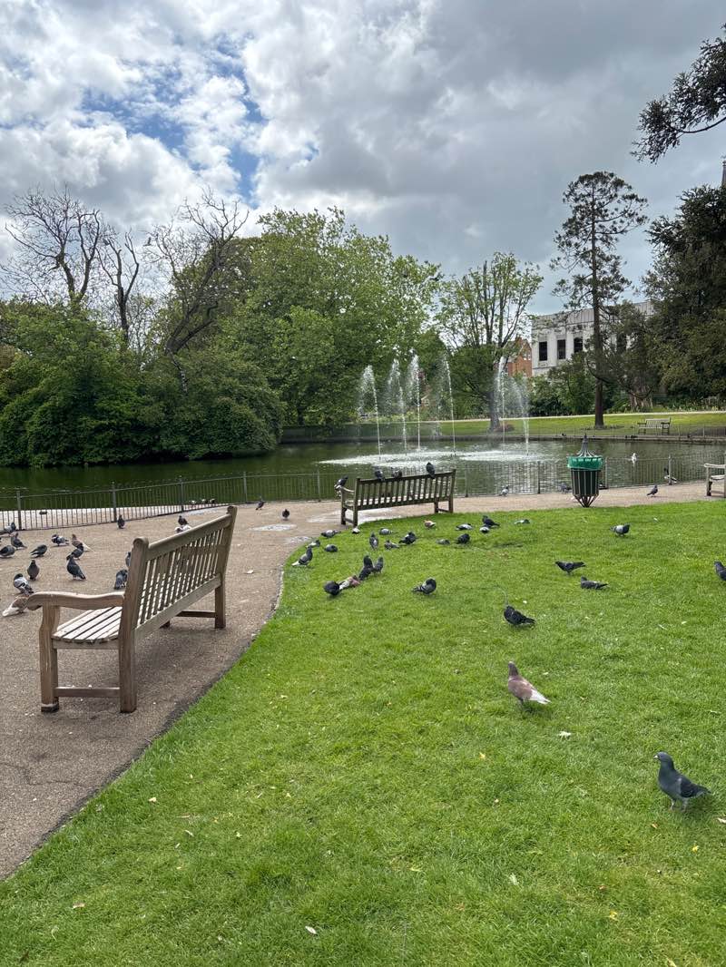 walking near me in Jephson Gardens in summer