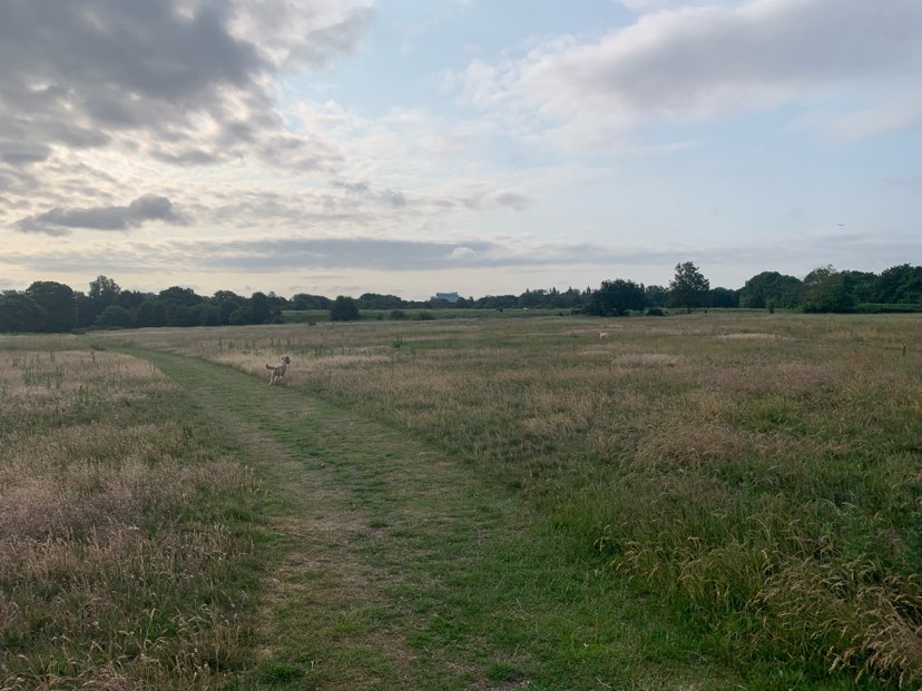 walking near me in Warren Farm Nature Reserve in summer