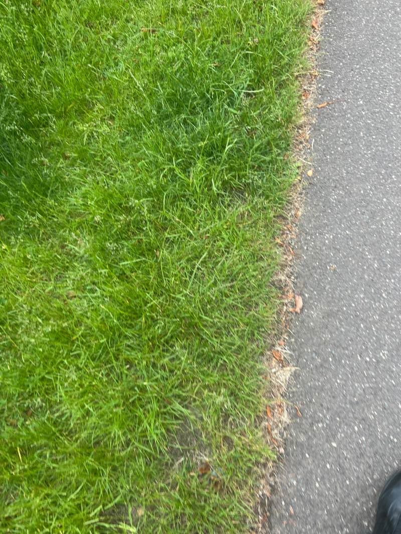 walking near me in Ruddington Lane Recreation Ground in summer
