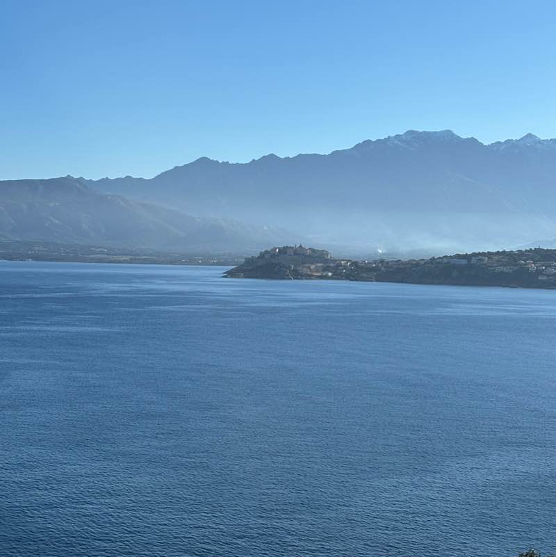 david vincent  👀 post 2