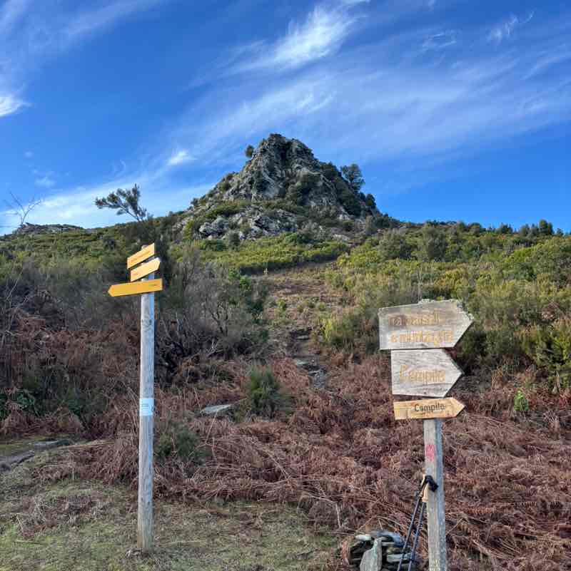 david vincent  👀 post 2