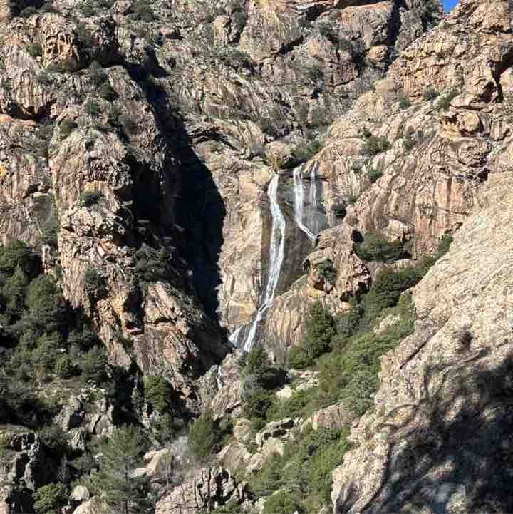 david vincent  👀 post 2