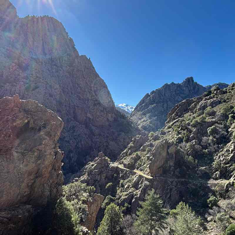 david vincent  👀 post 3