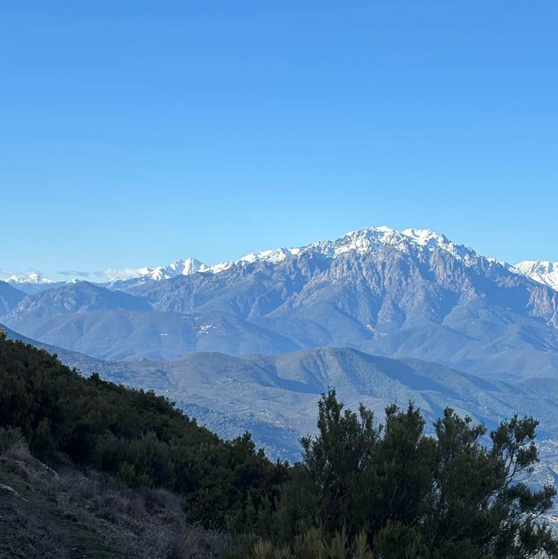 david vincent  👀 post 3