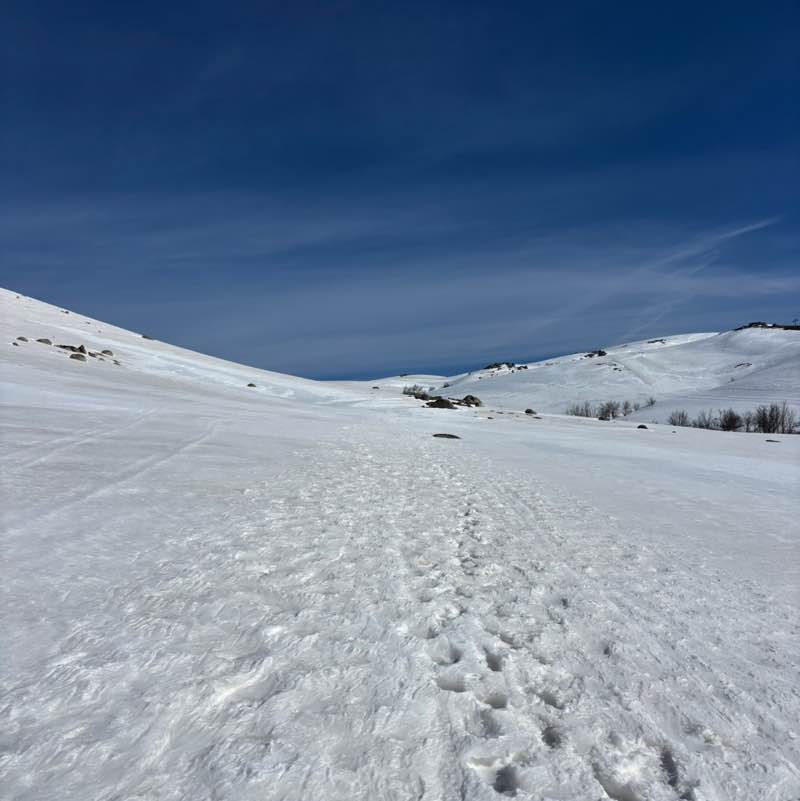 david vincent  👀 post 2