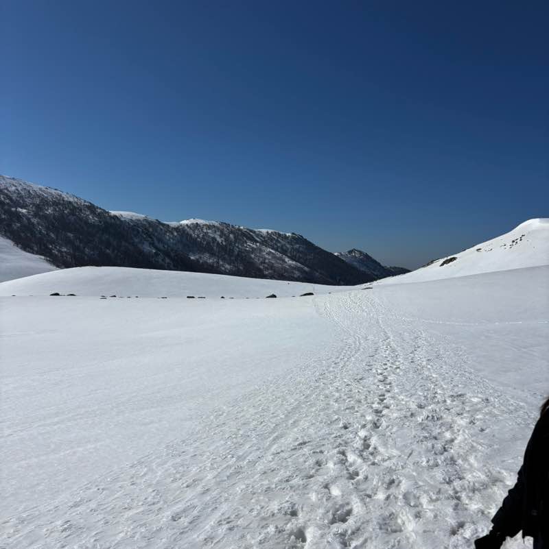 david vincent  👀 post 3