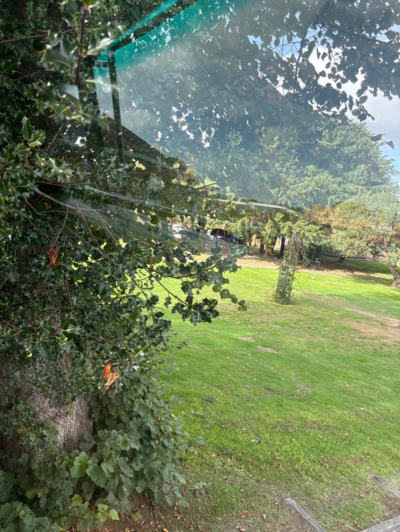 walking near me in Litten Park in autumn