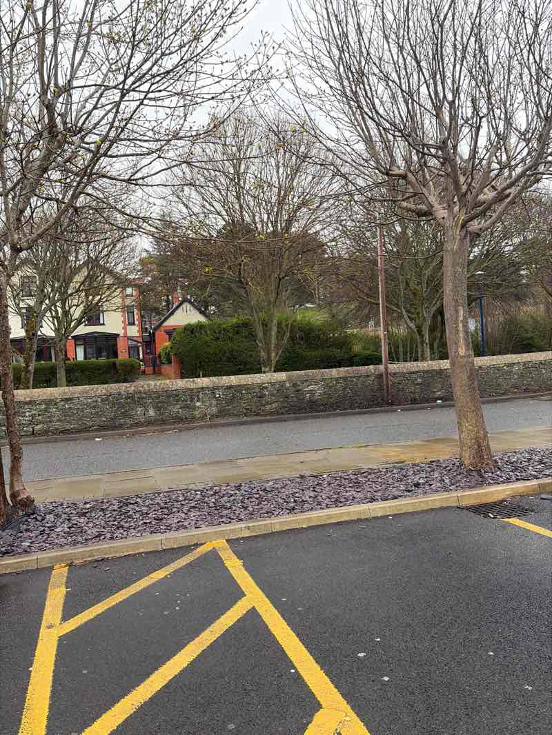 walking near me in Plascrug Avenue in spring