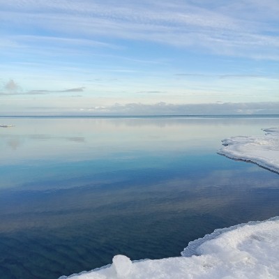 March Steps Challenge Irinа 🍀🌼🍀 post image