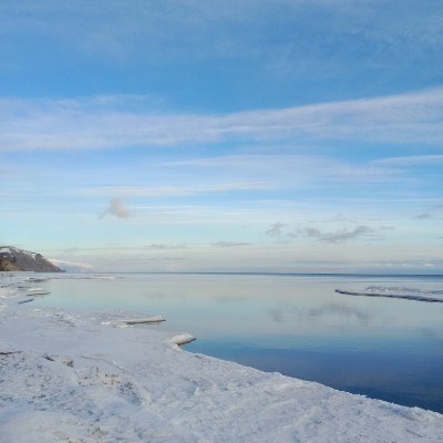 March Steps Challenge Irinа 🍀🌼🍀 post image