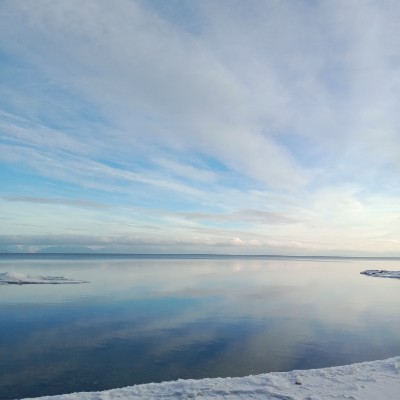 March Steps Challenge Irinа 🍀🌼🍀 post image