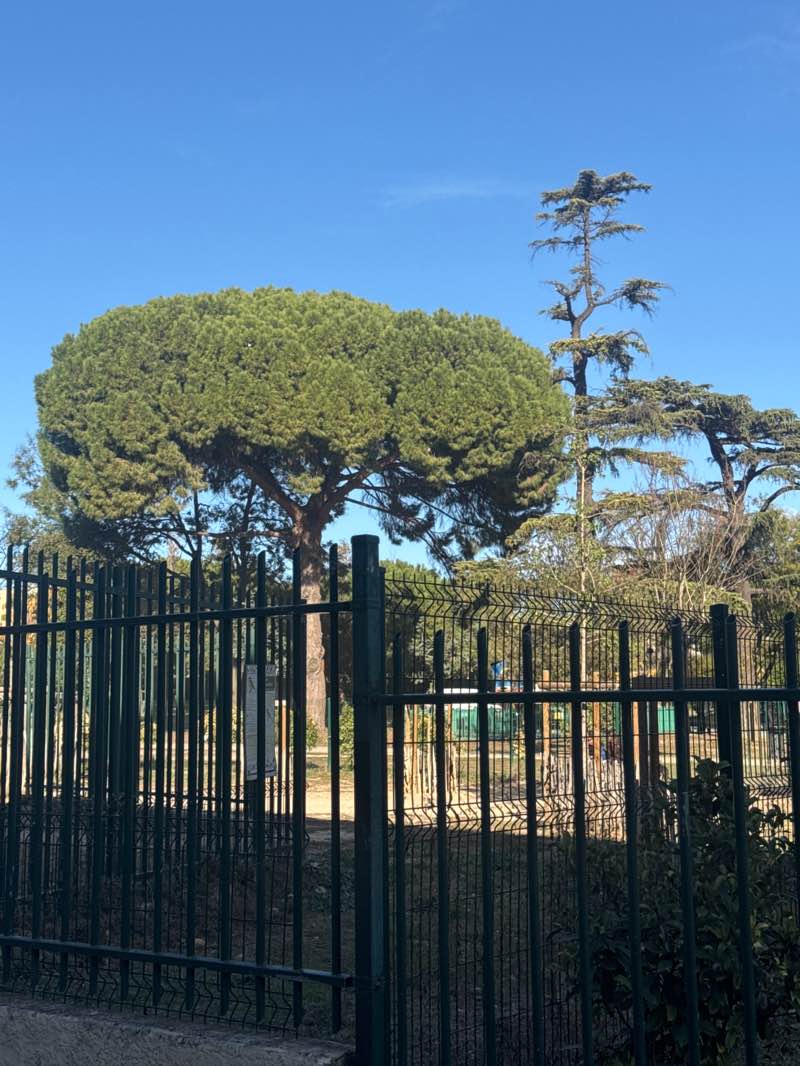 walking near me in Parc Clemenceau in autumn