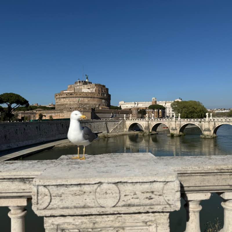 Ukraine 🇺🇦 Steps & Running Кирилл post image