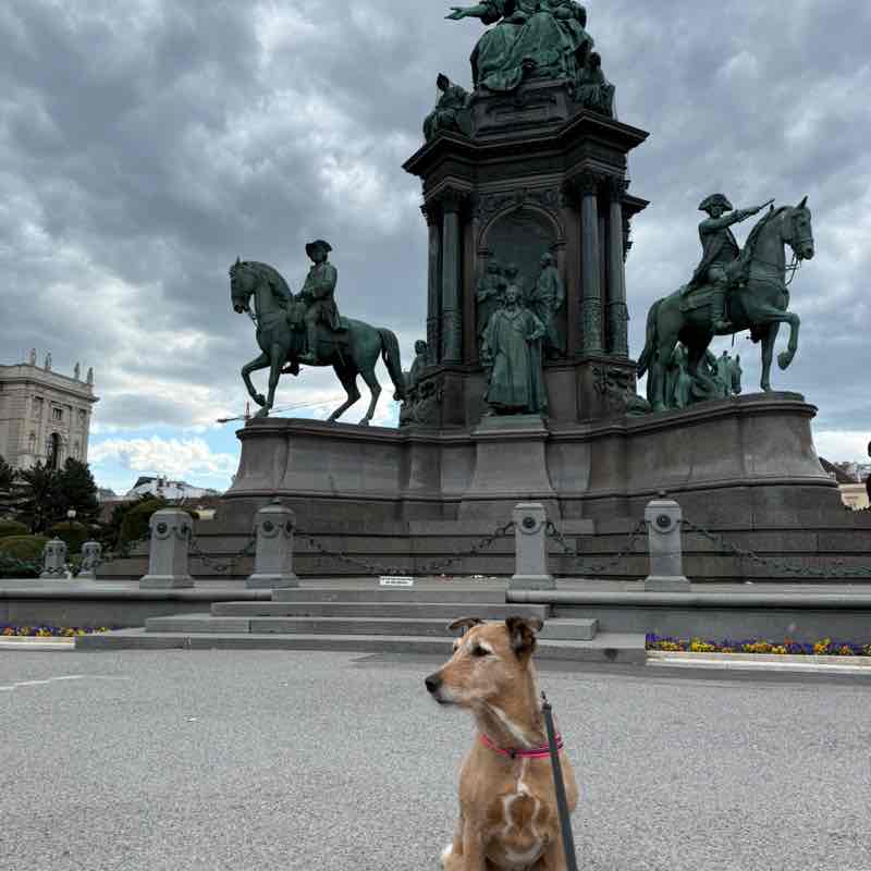 Ukraine 🇺🇦 Steps & Running Кирилл post image