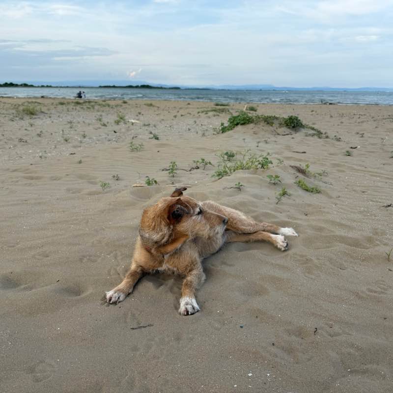 Кирилл post 3