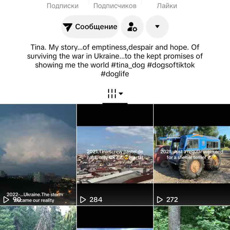 Ukraine 🇺🇦 Steps & Running Kirill post image