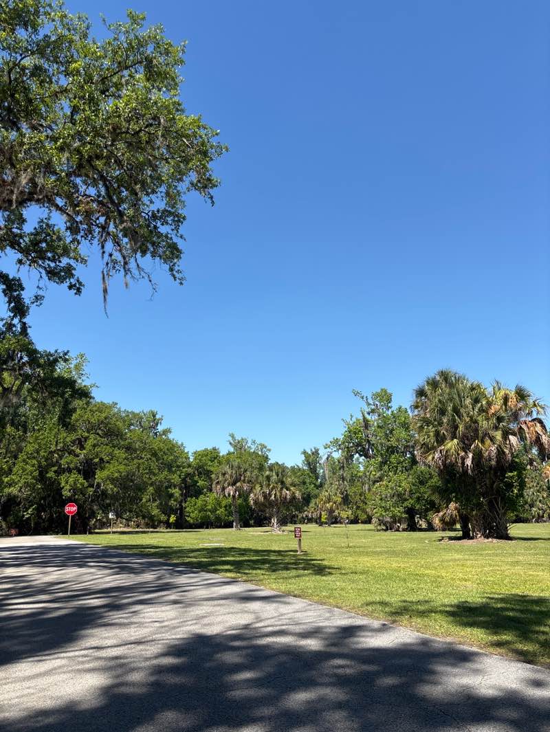 walking near me in Highlands Hammock State Park in spring