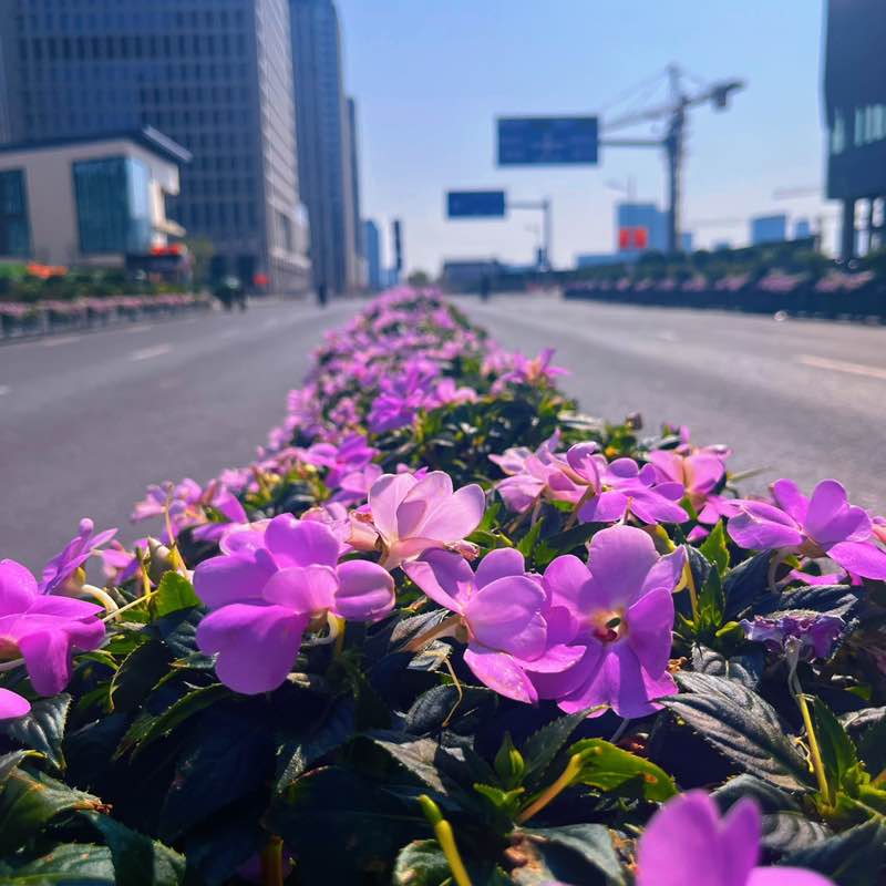 维吉尼亚今年见 post 1