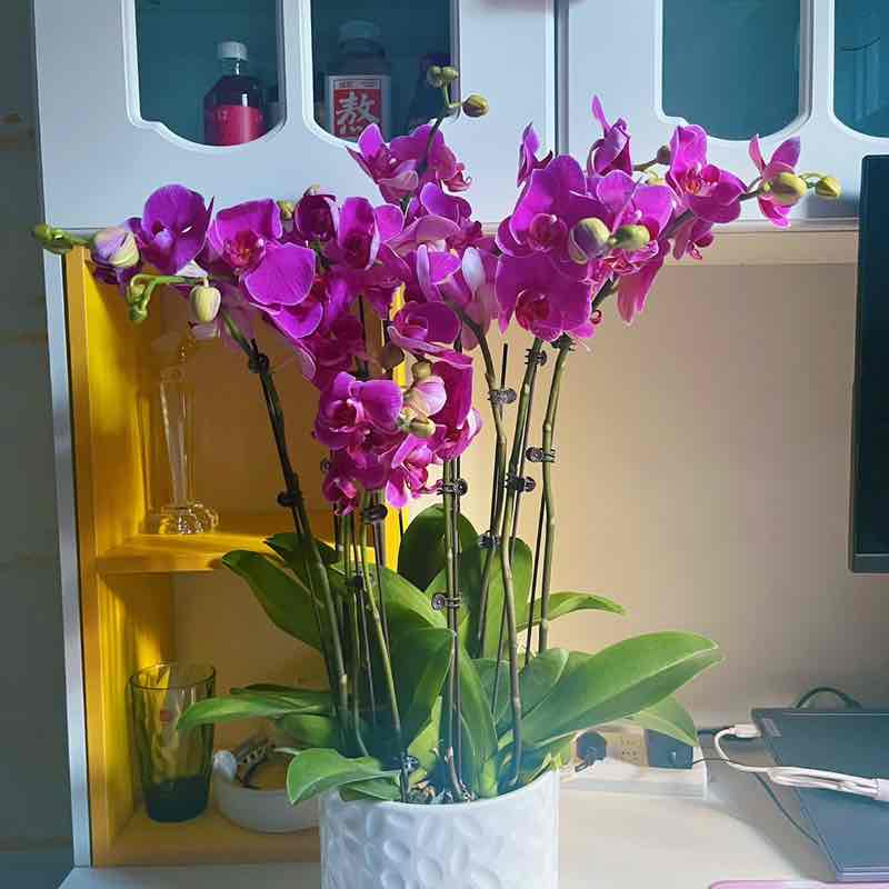 维吉尼亚今年见 post 1