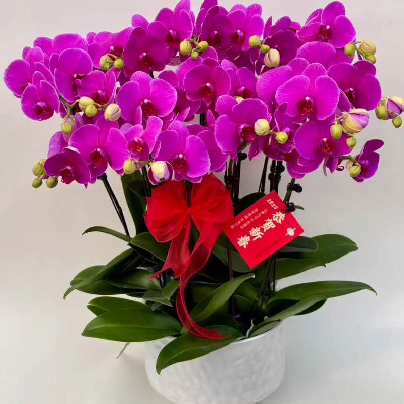 维吉尼亚今年见 post 1