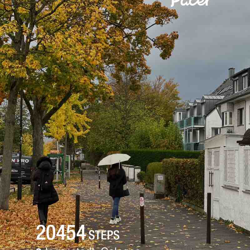 my steps alaa post image