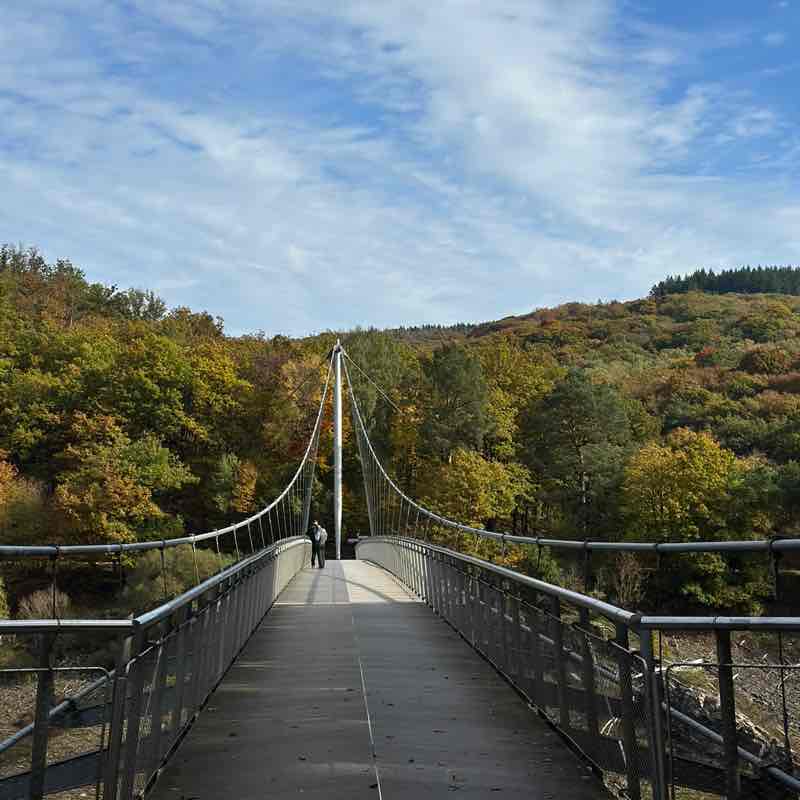 my steps alaa post image