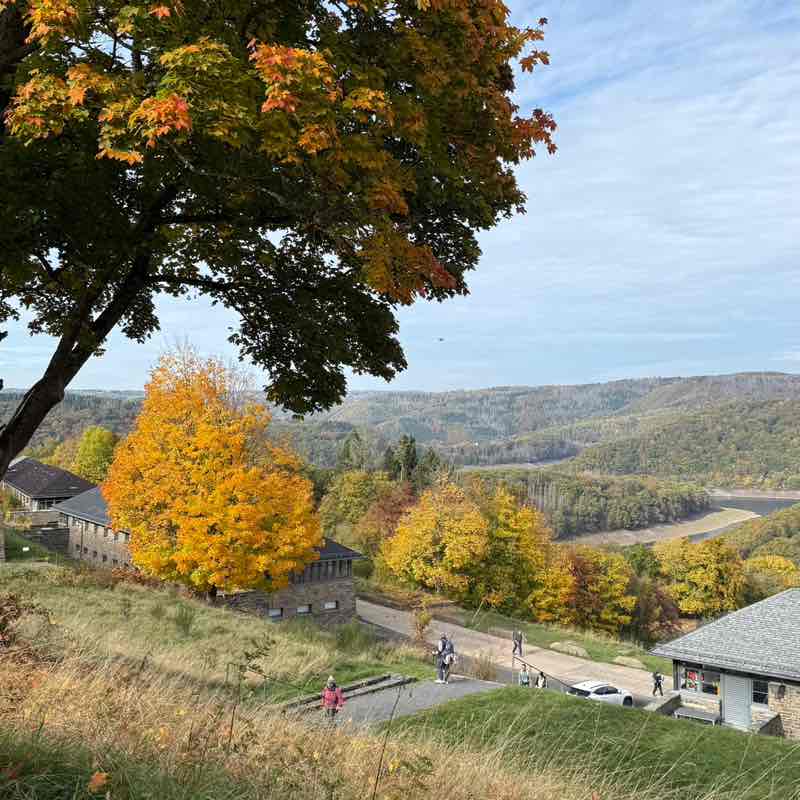 my steps alaa post image