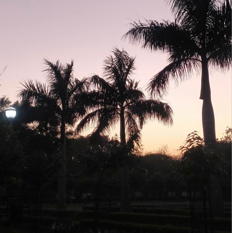 Ankita post 1