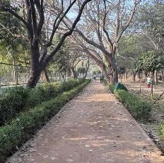 Ankita post 1
