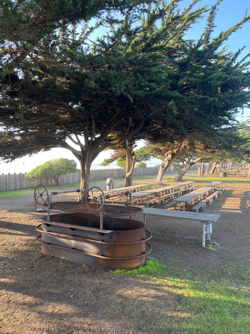 walking near me in Shamel Park in winter