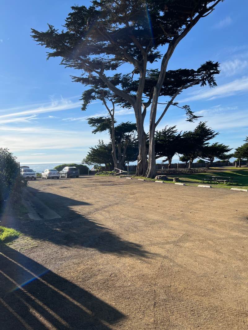 walking near me in Shamel Park in winter