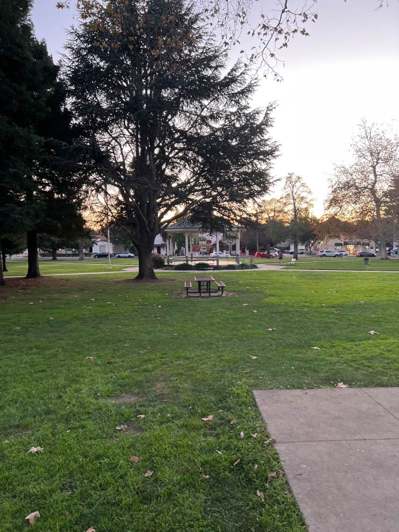 walking near me in Mitchell Park in winter