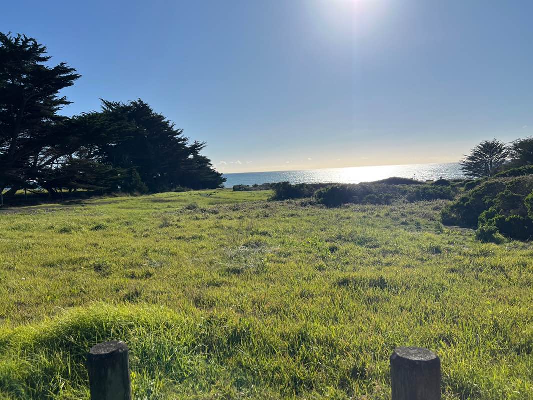 walking near me in Lampton Cliffs Park in winter