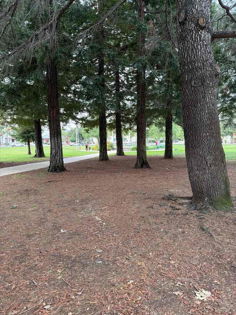 walking near me in Mitchell Park in spring