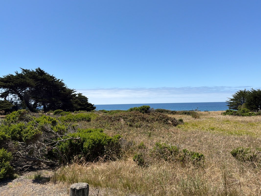 walking near me in Lampton Cliffs Park in summer
