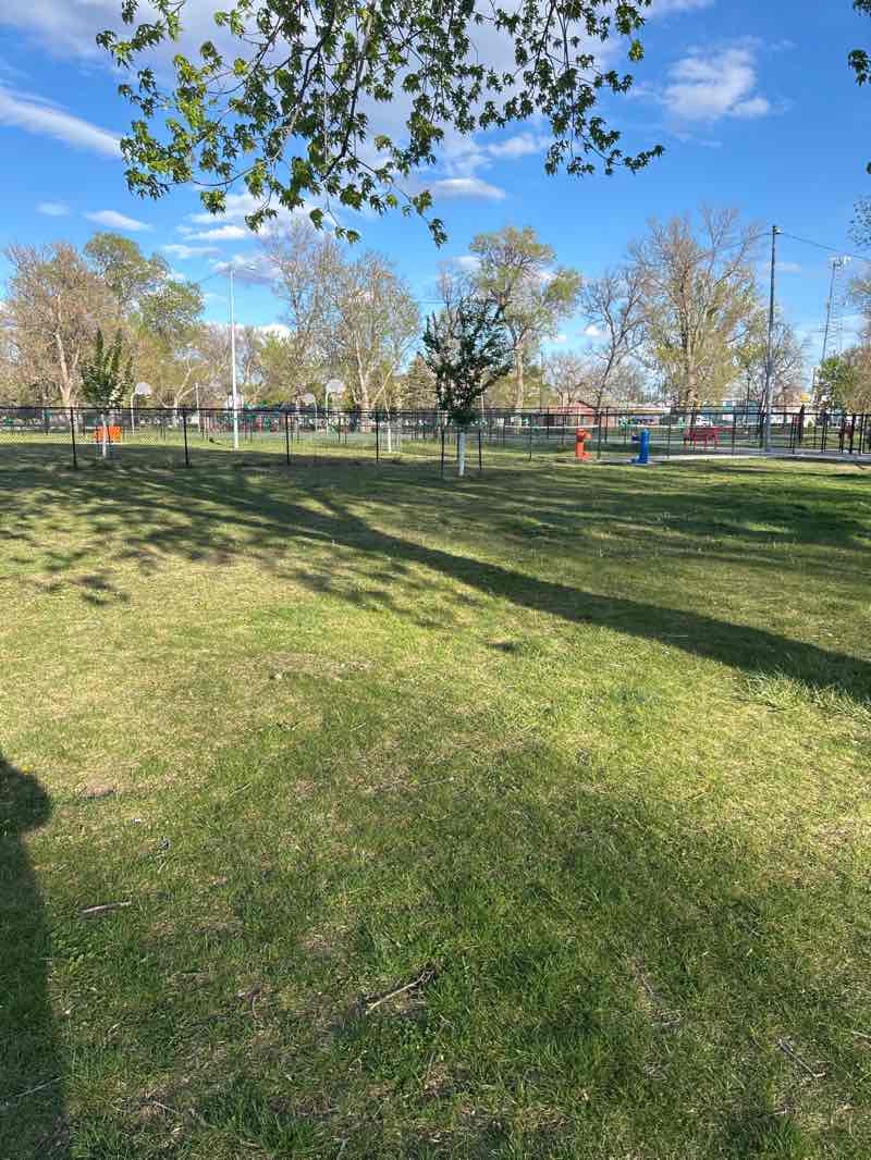 walking near me in North Park in spring