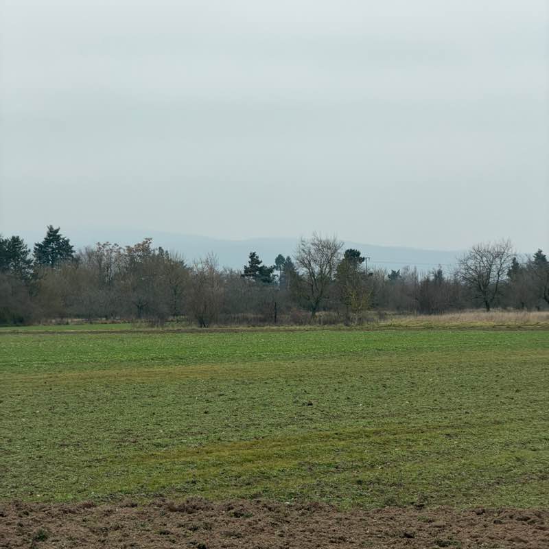 Os peregrinos klara post image